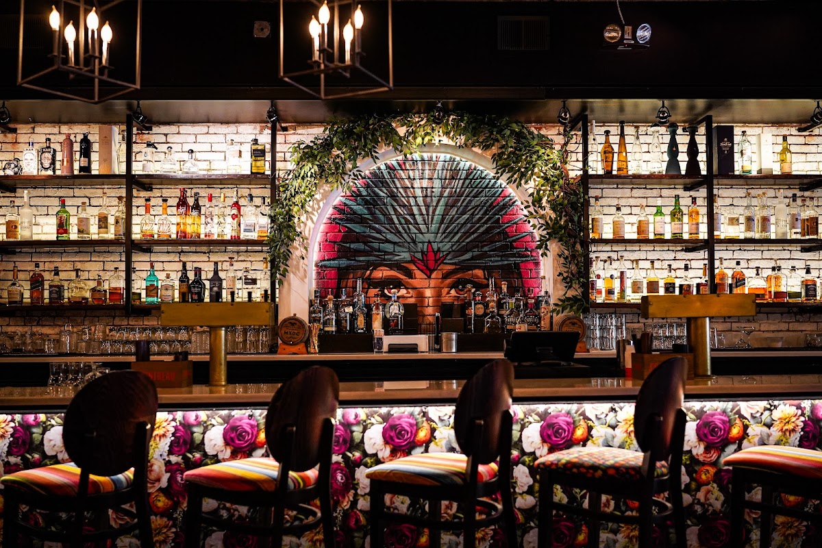 Mxdc Cocina Mexicana By Chef Todd English